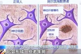 包含上海海港状态回暖备战德国杯浙江稠州关键时刻更衣室发声，广厦男篮完成体检备战CBA常规赛都惊呆了的词条